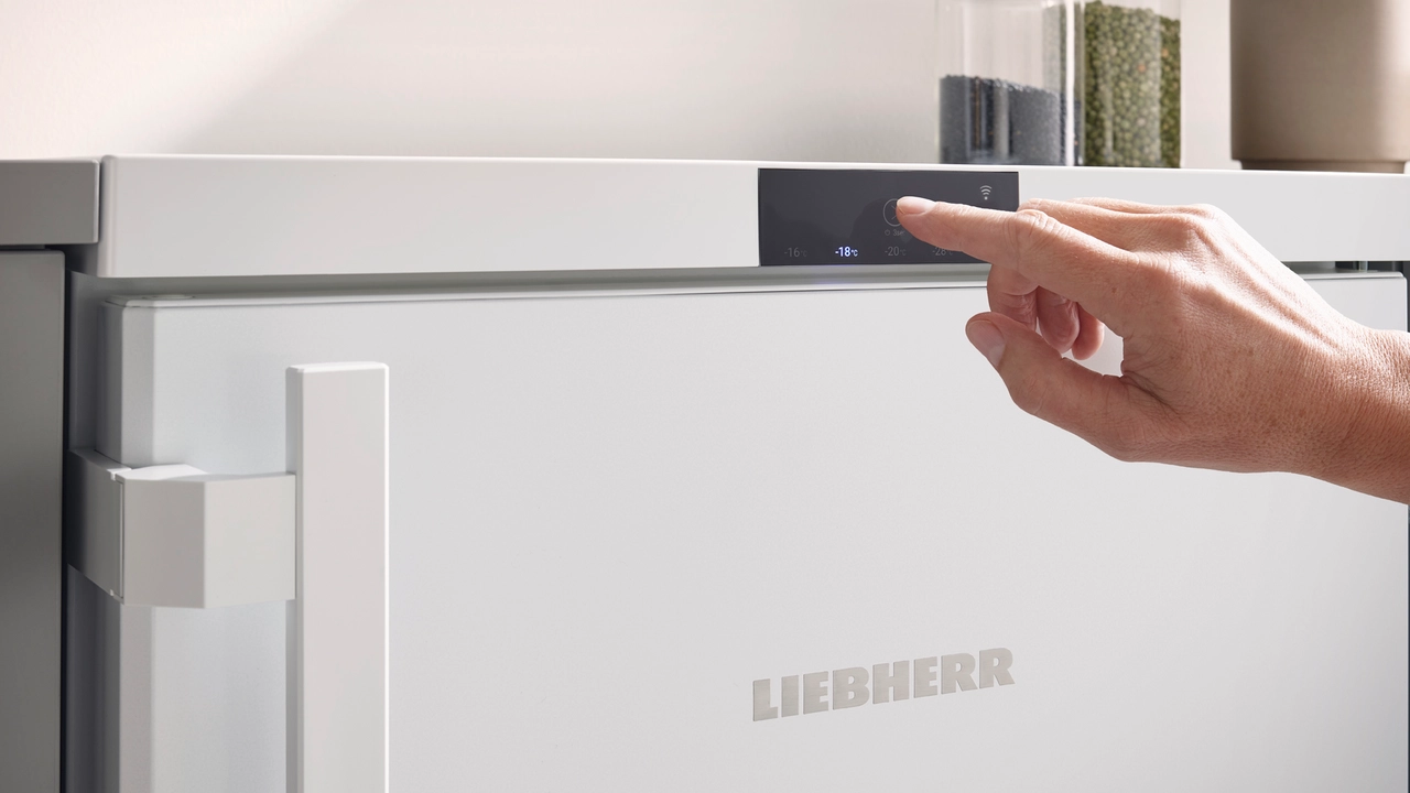 Fdi 1624 plus Under counter freezer with SmartFrost - Liebherr